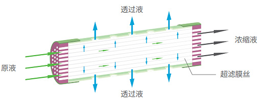 首页- 腾博官网诚信为本,专业服务!